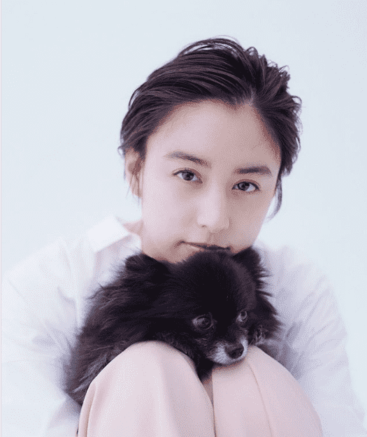 濑户康史山本美月爱情故事