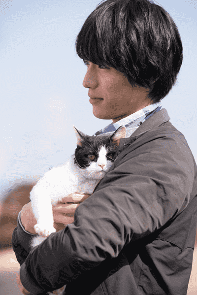 福士苍汰与超萌的猫咪奈奈合作电影《旅猫日记》!