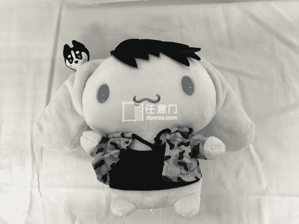 任意门代购的货物们
