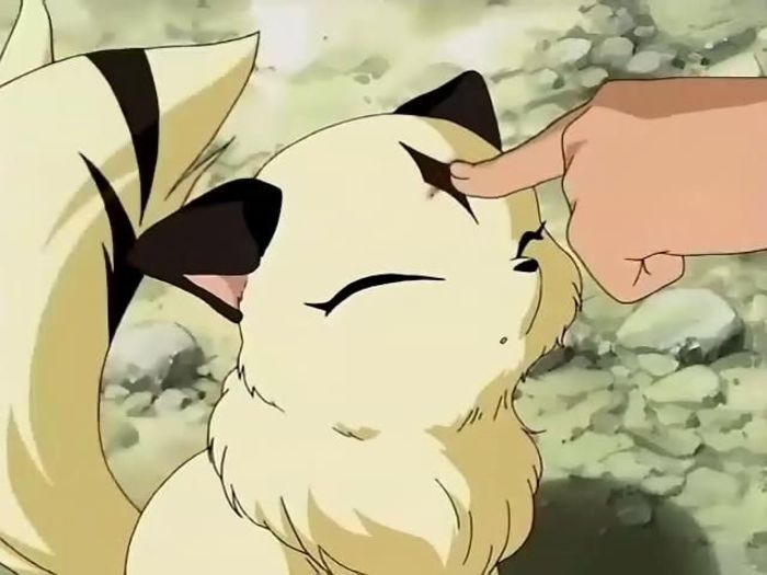 者巫女翠子战斗时的伙伴,现为珊瑚饲养的宠物,是一只通灵性的二尾猫又